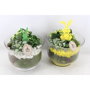 arr2 PL - Glas rio - geel/wit