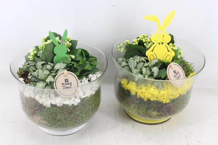 <h4>arr2 PL - Glas rio - geel/wit</h4>