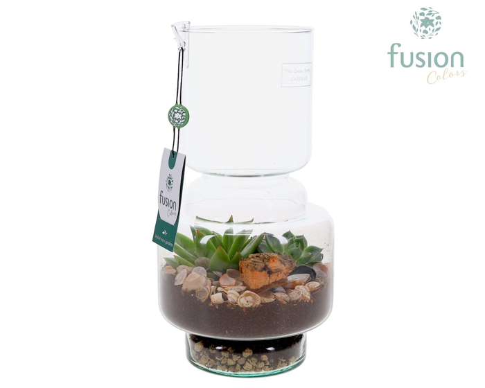 <h4>Green Bottle Lotte Medium met Maritiem arrangement</h4>