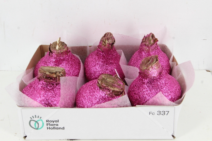 <h4>BOL HIPP WAX CERISE+GLITTER</h4>