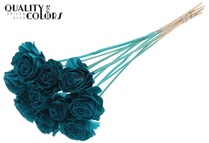 Shola Beauty Rose 6cm on stem Turquoise