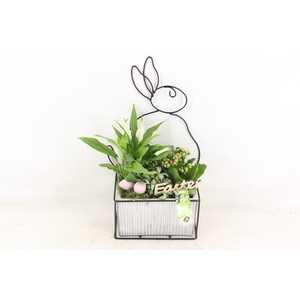 arr2 JS - Ker. pot zink bunny frame x5