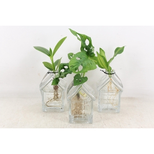 arr3 VDE - Glas house Oslo x6