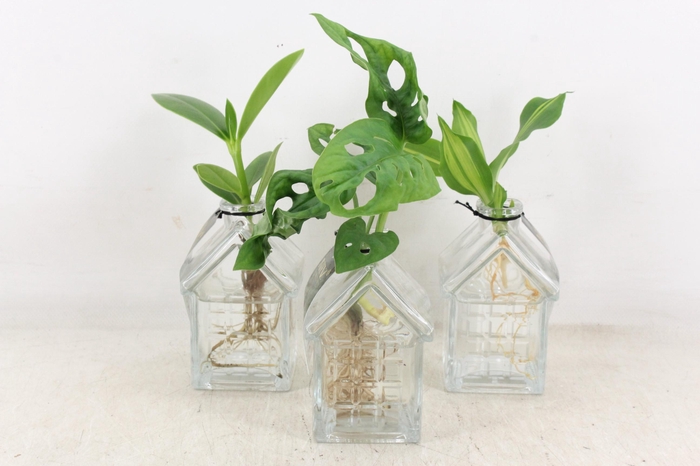 <h4>arr3 VDE - Glas house Oslo x6</h4>