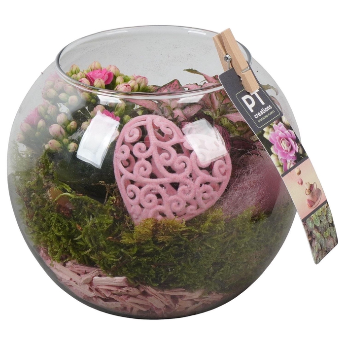 <h4>4986 ROZE BOLGLAASJE</h4>