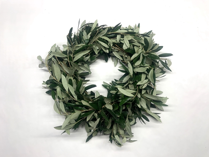 <h4>GARLAND OLIVE</h4>