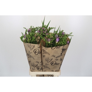 Freesia One XXL Blue