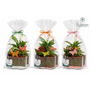 Glazen Bloemschaalmet Voorjaar arrangement