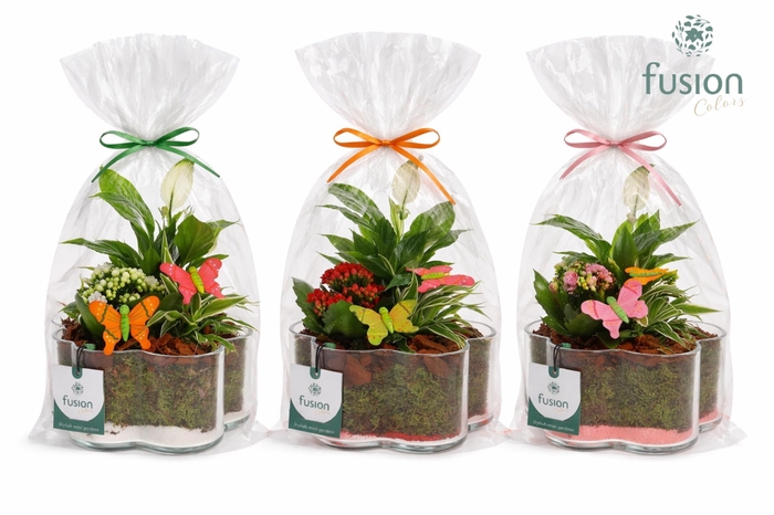 <h4>Glazen Bloemschaalmet Voorjaar arrangement</h4>