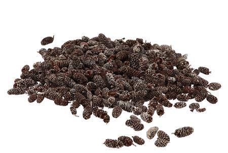 <h4>Nature Birch Pine Stone Whitewash P/500 Gram</h4>