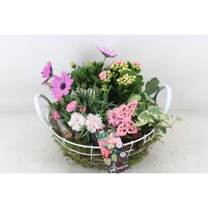 arr4 Outdoor MB - Draadmand wit