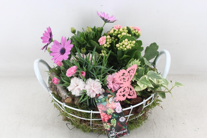 <h4>arr4 Outdoor MB - Draadmand wit</h4>