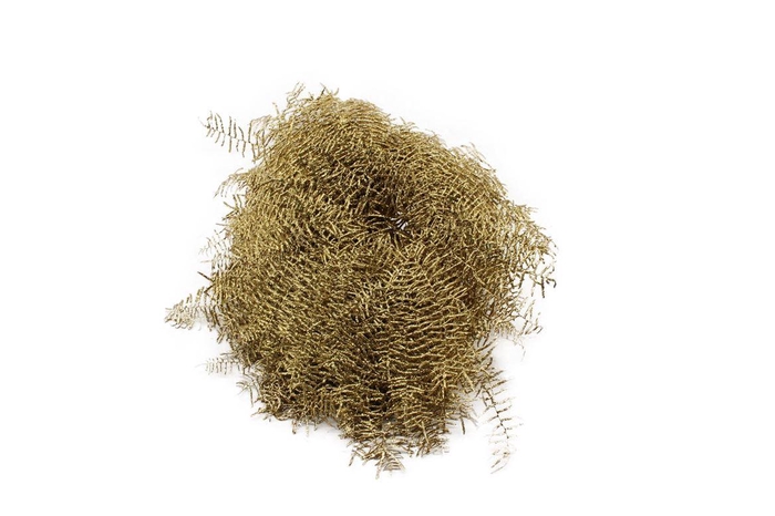 Koraalvaren Goud Glitter Black Friday Deals