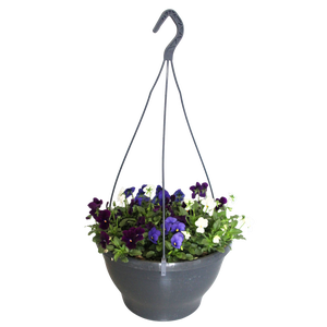Hangpot 30 cm met waterreservoir Viola Cornuta Violet-Blauw-Wit