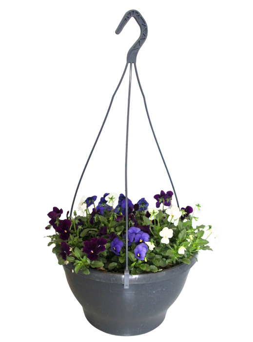 <h4>Hangpot 30 cm met waterreservoir Viola Cornuta Violet-Blauw-Wit</h4>