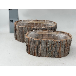 HOUT H%