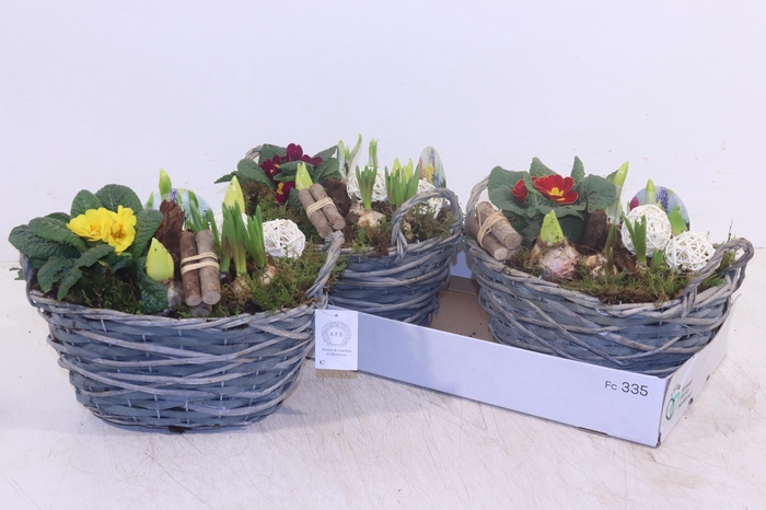 <h4>ARR TUINPLANTEN</h4>