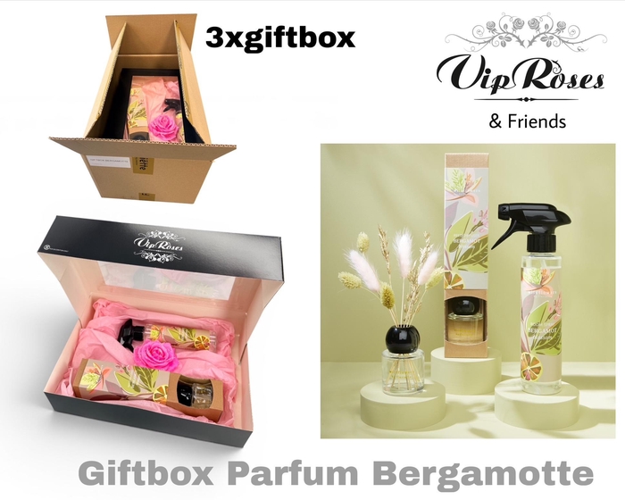 <h4>GIFTBOX PARFUM BERGAMOTTE</h4>
