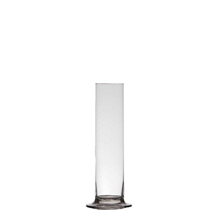 <h4>Glas Cilinder/voet d06*15cm</h4>