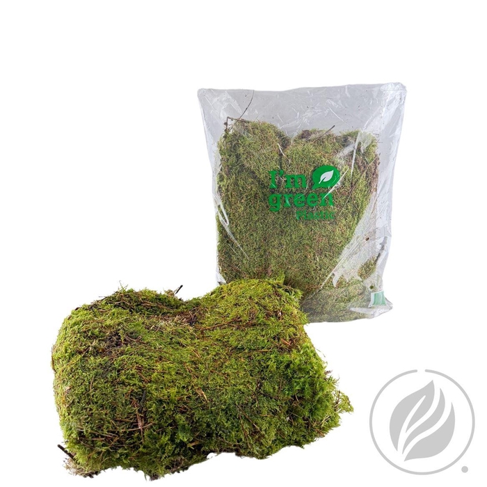 <h4>Mos Platmos (bag)</h4>