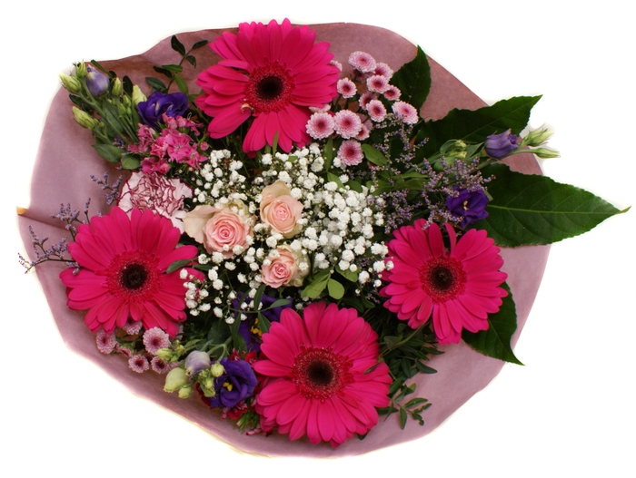 <h4>202340 Lila</h4>