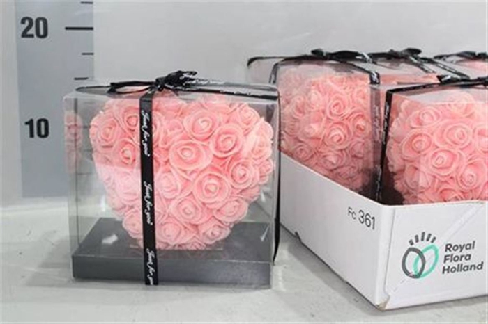 <h4>Foam Heart Salmon</h4>