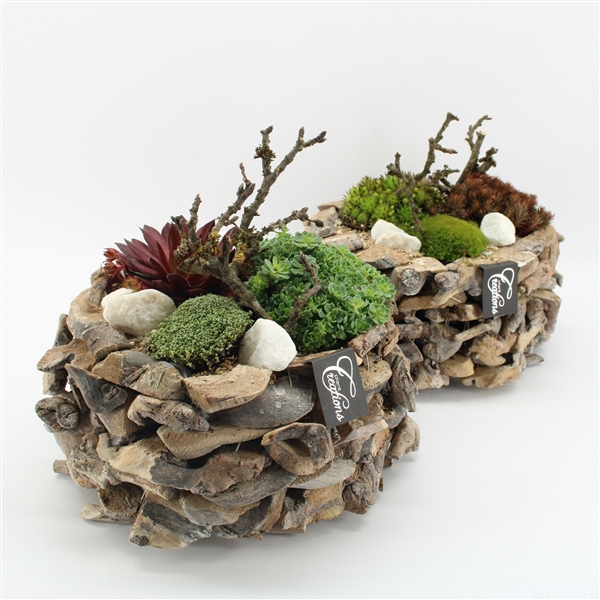 <h4>BBCR-2442 Toetie Froetie garden treasures</h4>