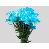CRISANTEMO ZEMBLA TINGIDO 080 CM AZUL