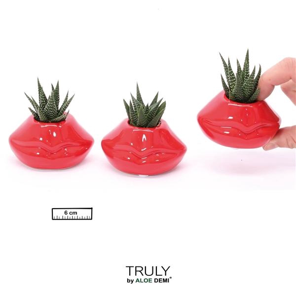 <h4>TRULY Succulent, Lip mini</h4>