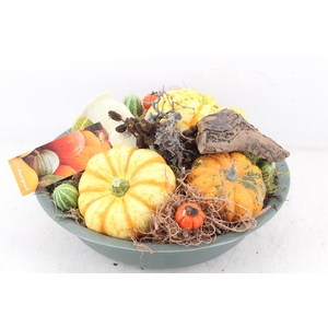 arr4 Sierfruit MB - Zink schaal groen