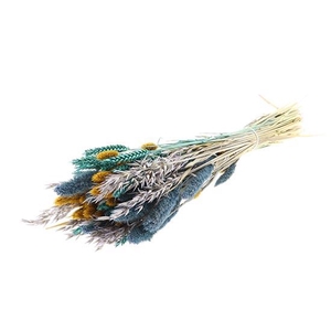 Bunch Dutch Grass Wonders