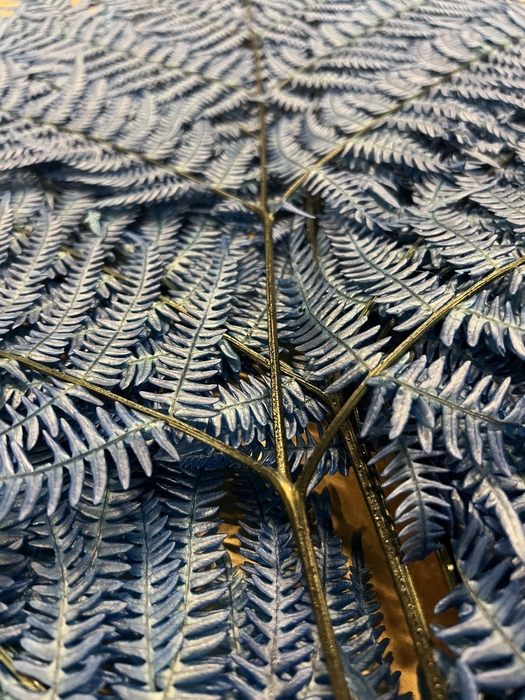 <h4>GESTABILISEERD VAREN GRIJSBLAUW</h4>