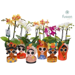 Keramiek Wereldvrouwen met Phalaenopsis