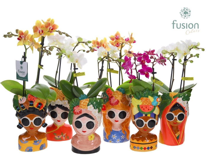 <h4>Keramiek Wereldvrouwen met Phalaenopsis</h4>