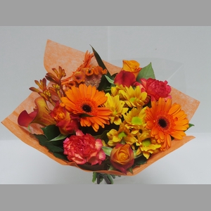 BQ Shorties Orange