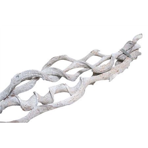 Branch Curly Vine L200 D4/7