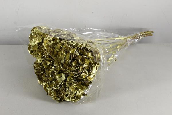 <h4>Df Hydrangea Gold</h4>