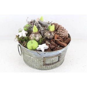 arr4 Hyacint MB - Zink green 285/4