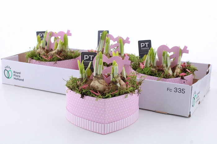 <h4>ARR N TETE A TETE</h4>