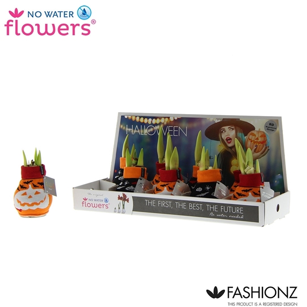 <h4>Hipp Waxbulb Fashionz Halloween</h4>