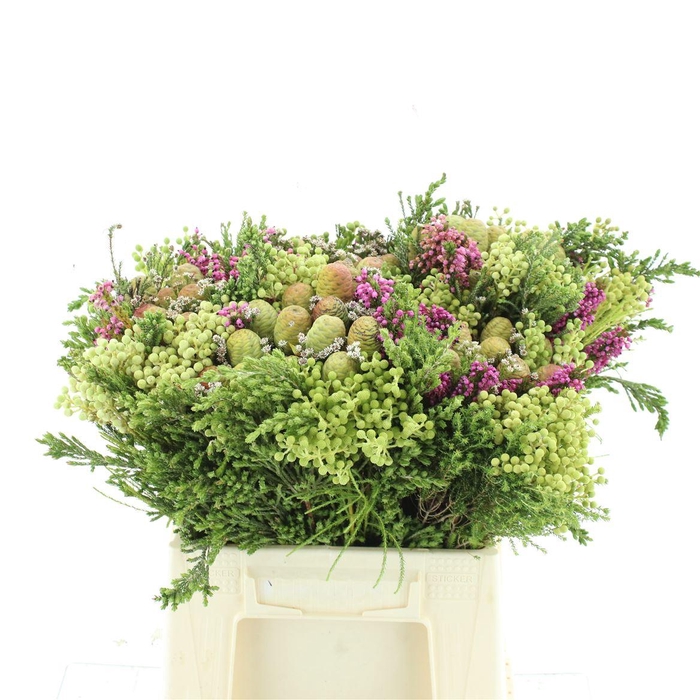 <h4>Kaaps Bouquet Cone Mix</h4>