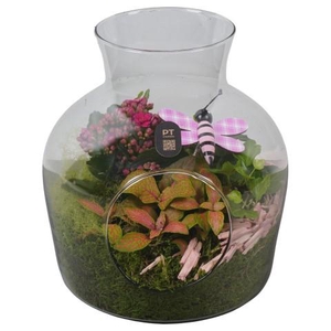 PTIG2637 Arrangementen kamerplanten