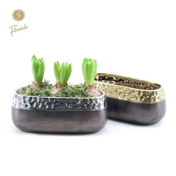 <h4>(3612) Hyacint Winter Chique [XL]</h4>