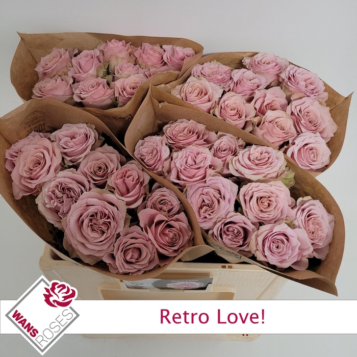 <h4>R GR RETRO LOVE!</h4>