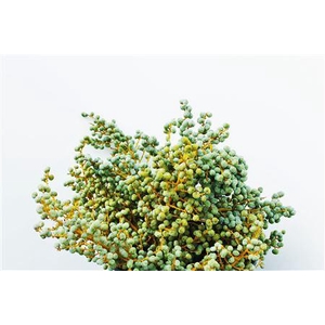 Dadels Tros 3 Kg Verde
