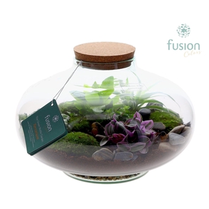 Green Bottle Luna XLarge met Terrarium arrangement