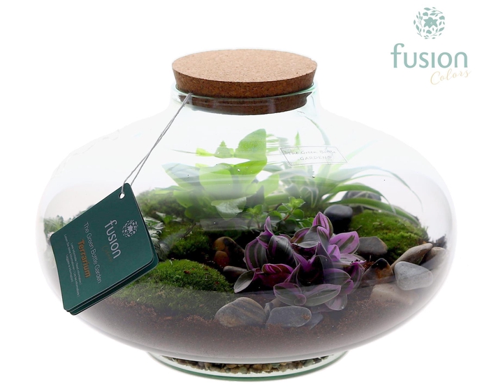 <h4>Green Bottle Luna XLarge met Terrarium arrangement</h4>