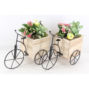 arr2 TD - Hout driewieler - roze