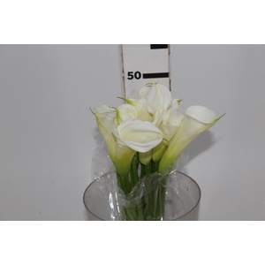 COPO DE LEITE BRANCO 050 CM