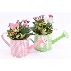 Zink gieter groen/roze 12cm